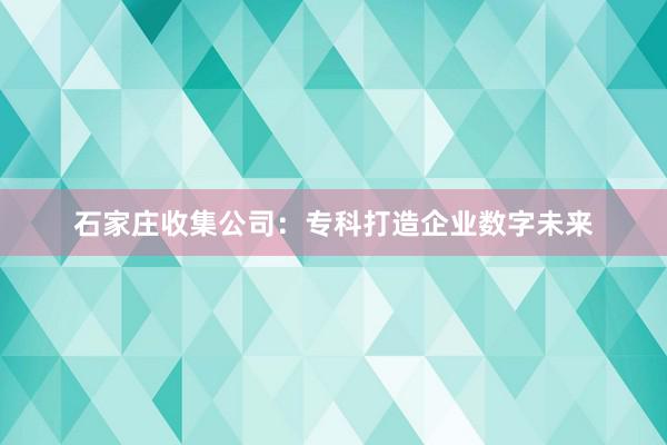 石家庄收集公司：专科打造企业数字未来