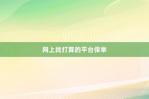 网上找打算的平台保举
