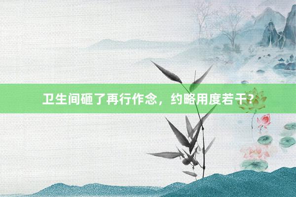 卫生间砸了再行作念，约略用度若干？