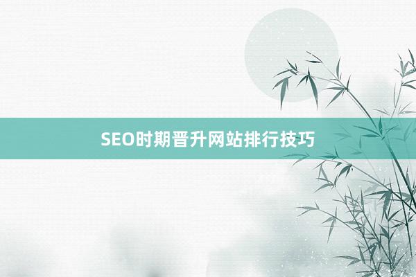 SEO时期晋升网站排行技巧